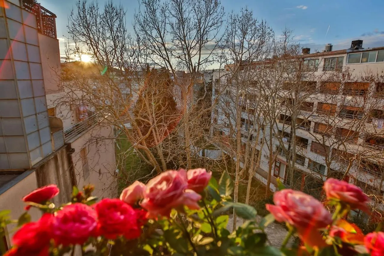 Bel Canto Split